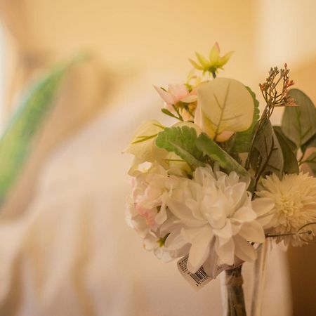 Hostal Uruhao Χάνγκα Ρόα Εξωτερικό φωτογραφία