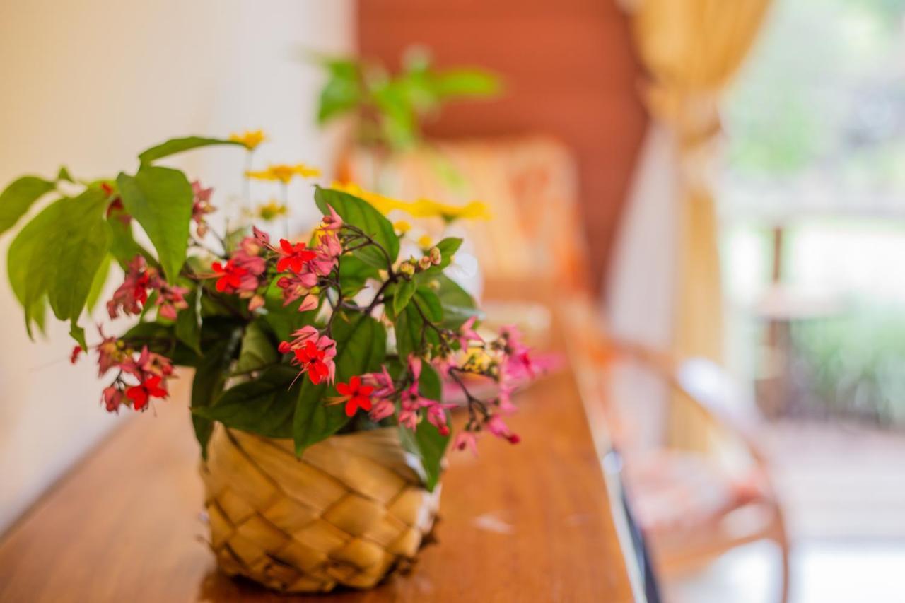 Hostal Uruhao Χάνγκα Ρόα Εξωτερικό φωτογραφία