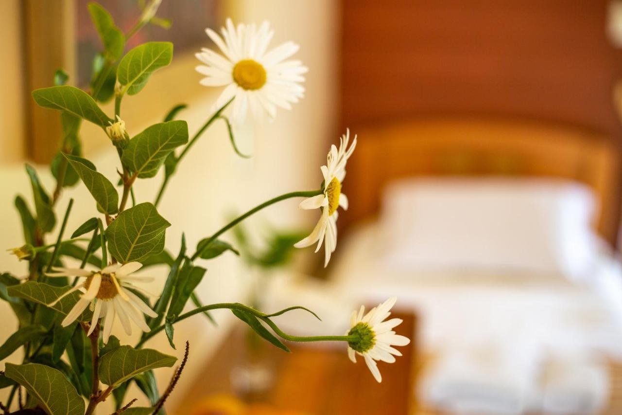 Hostal Uruhao Χάνγκα Ρόα Εξωτερικό φωτογραφία